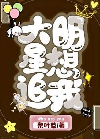 大明星想追我小说