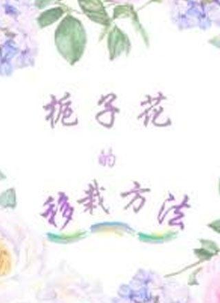栀子花的移栽方法小说
