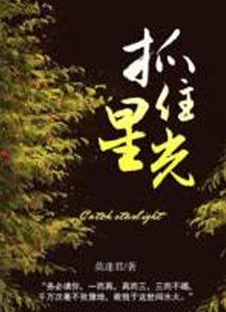 抓住星光小说
