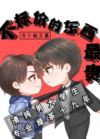 不标价的东西最贵小说