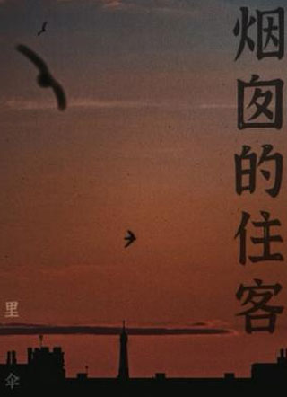 烟囱的住客小说