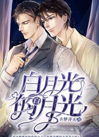 白月光的白月光小说