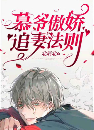慕爷傲娇追妻法则小说