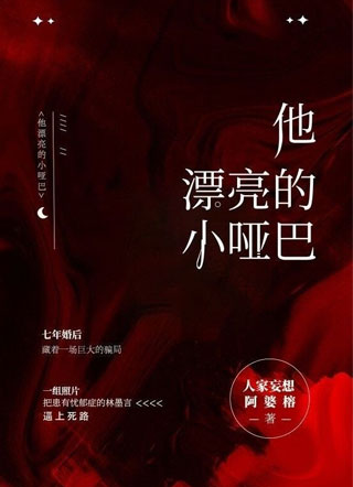 他漂亮的小哑巴小说