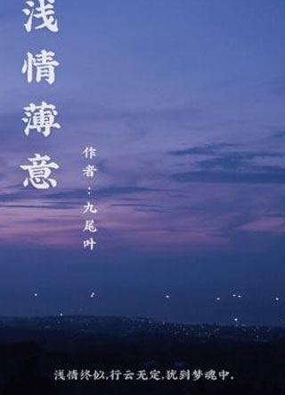 浅情薄意小说