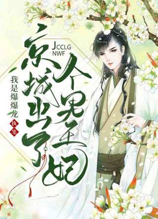 京城出了个男王妃小说