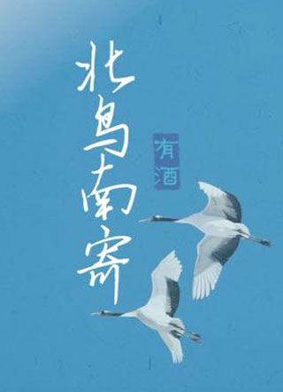 北鸟南寄小说