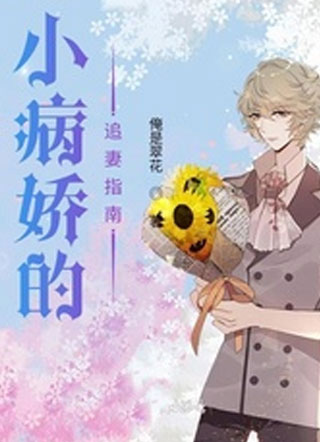 小病娇的追妻指南裴婴小说