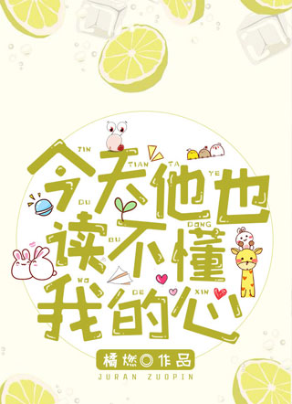 今天他也读不懂我的心小说