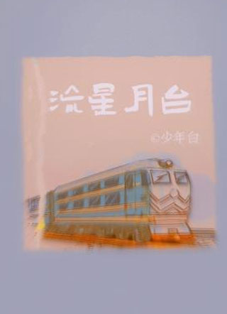 流星月台小说
