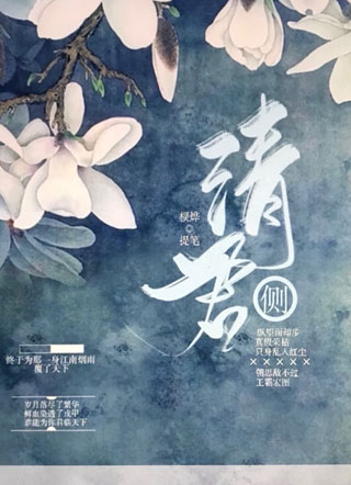 清君侧小说