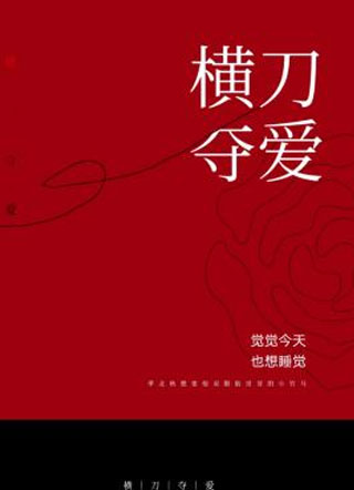 横刀夺爱沈云星小说