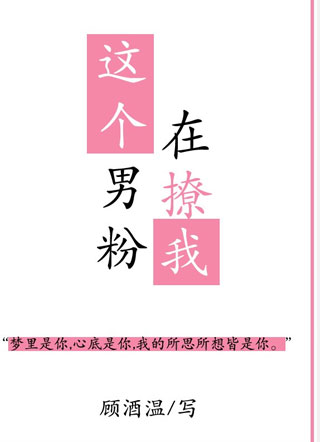 这个男粉在撩我小说