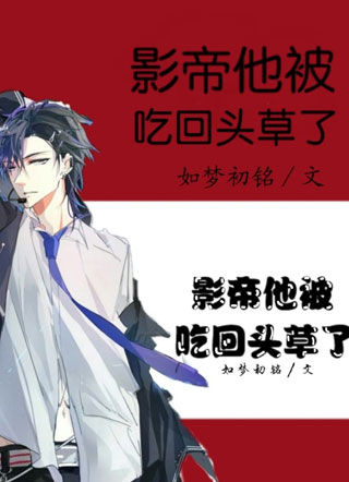影帝他被吃回头草了小说