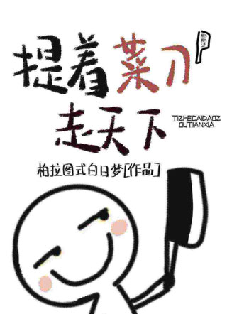 提着菜刀走天下小说