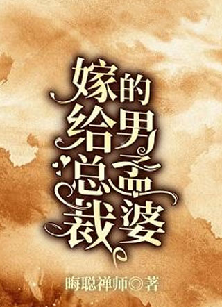 嫁给总裁的男孟婆小说