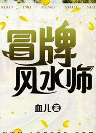 冒牌风水师小说
