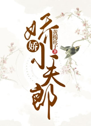 娇娇小夫郎小说