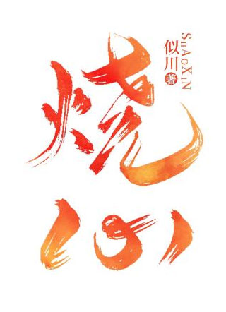 烧心傅南岸小说