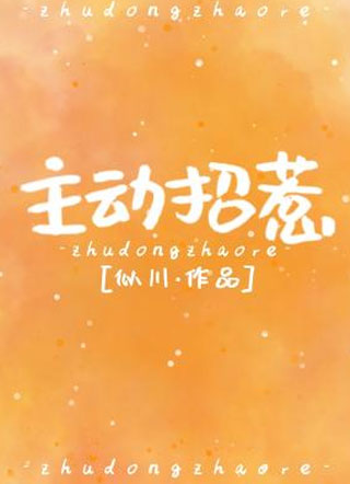 主动招惹小说