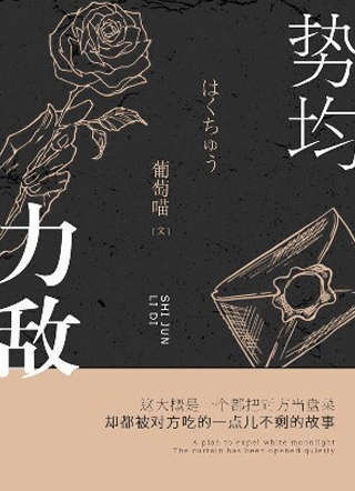 势均力敌小说