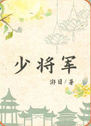 少将军文乐小说