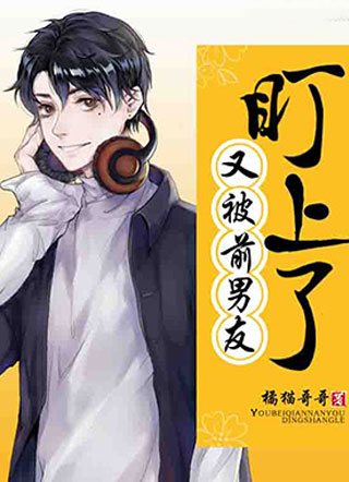 又被前男友盯上了杨嘉立小说