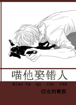 喵他娶错人小说