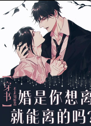 婚是你想离就能离的吗？小说