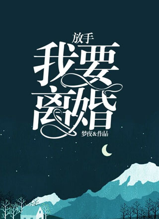 放手，我要离婚！小说