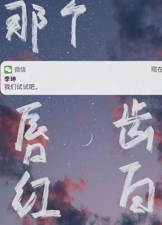 那个唇红齿白季珅小说