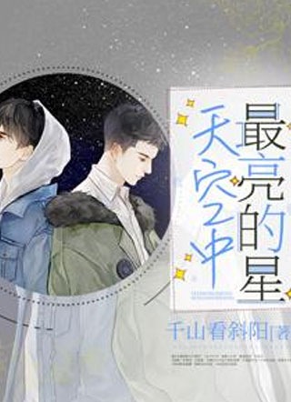 天空中最亮的星陆晨星小说