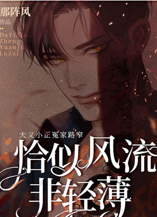 恰似风流非轻薄小说