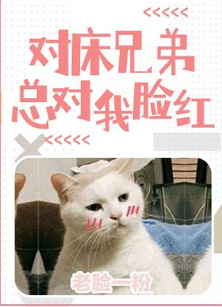 对床兄弟总对我脸红小说