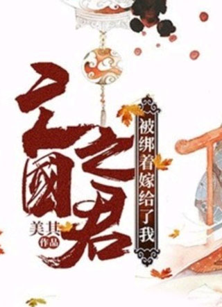 亡国之君被绑着嫁给了我安逸小说