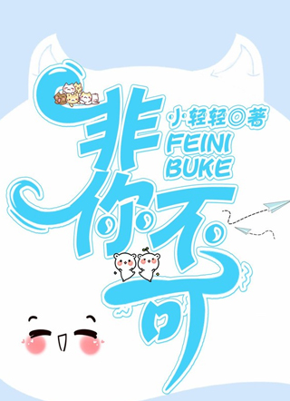 非你不可小说