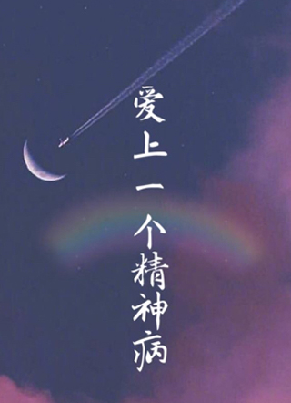 爱上一个精神病小说