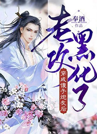 穿成傻子炮灰后老攻黑化了小说