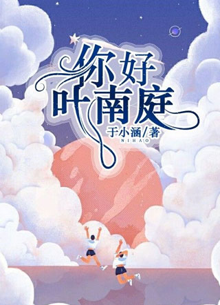 你好，叶南庭小说