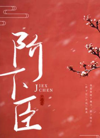阶下臣小说
