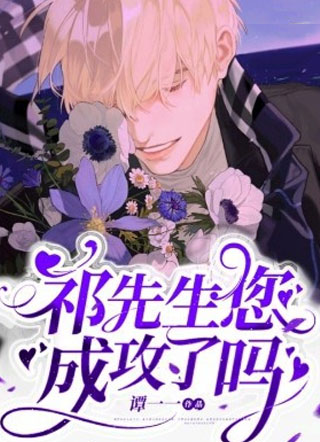 祁先生您成攻了吗小说