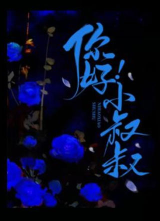 你好小叔叔！小说