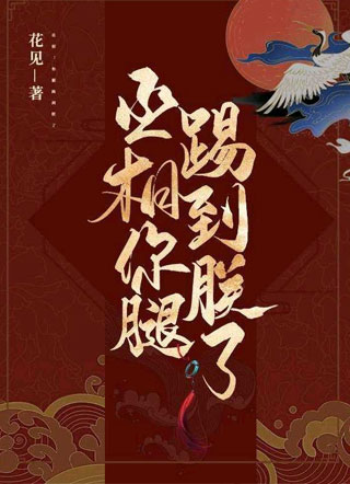 丞相！你腿踢到朕了小说
