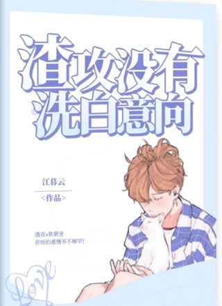 渣攻没有洗白意向小说