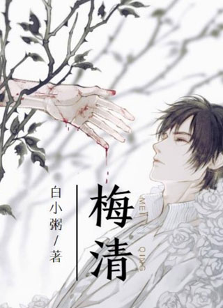 梅清小说