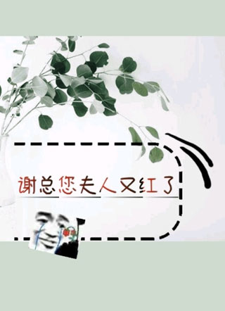 谢总您夫人又红了小说