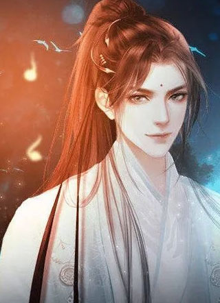 锦绣君心小说