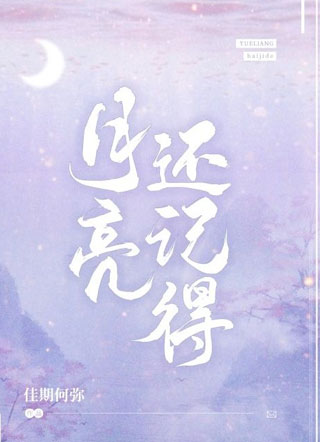 月亮还记得小说