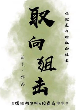 取向狙击西旻小说