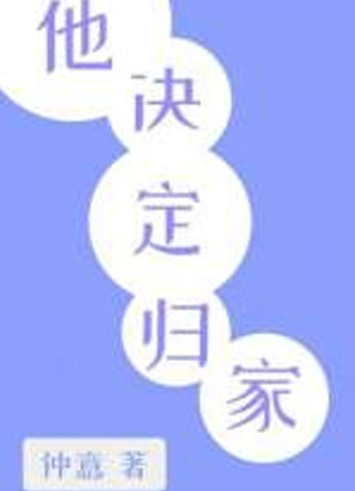 他决定归家小说
